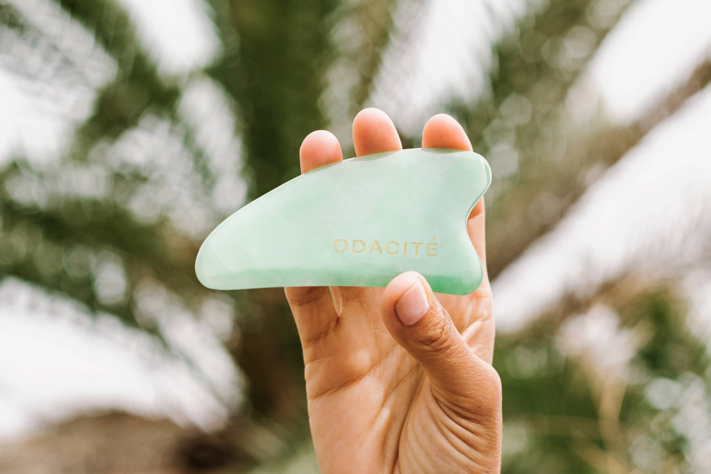 Crystal Contour Gua Sha Beauty Tool