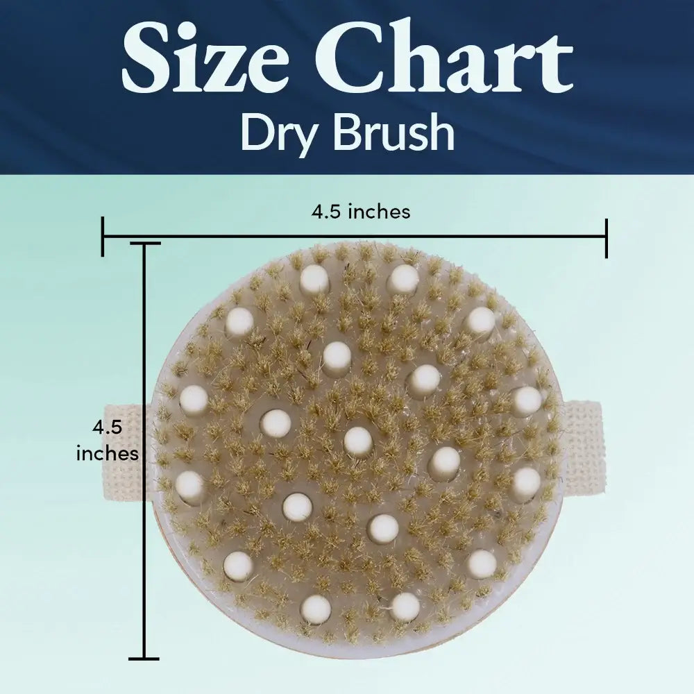 Bamboo Dry Brush (case of 3)