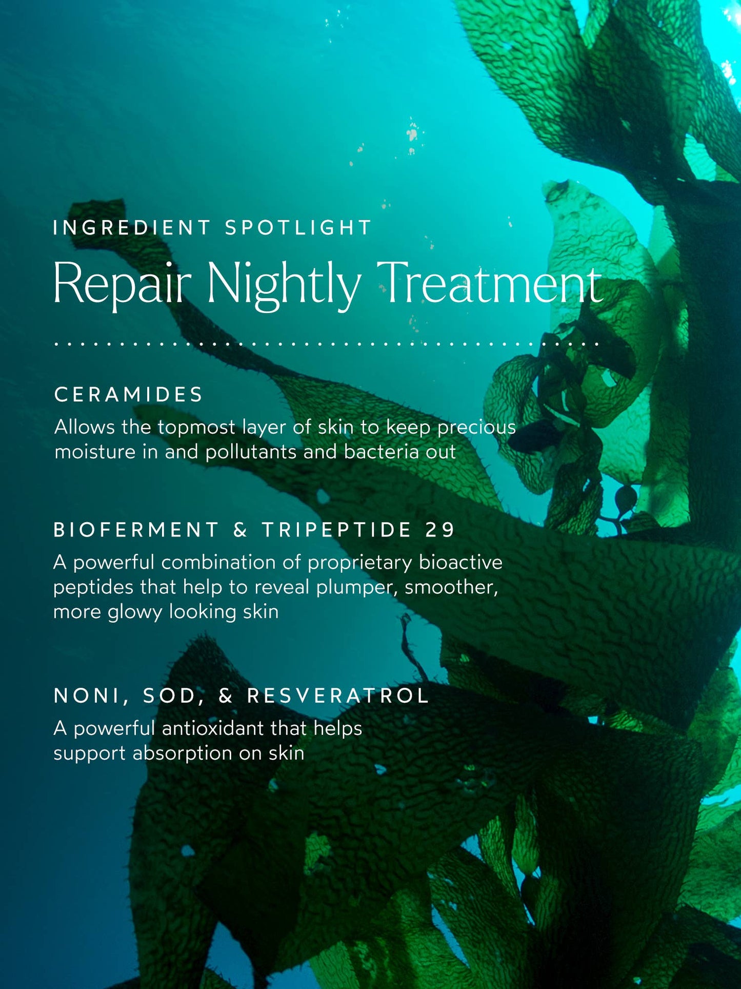 Renew Repair Nightly Treatment (formerly Repair Serum)