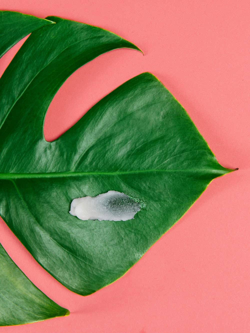 Coconut Oil Balm