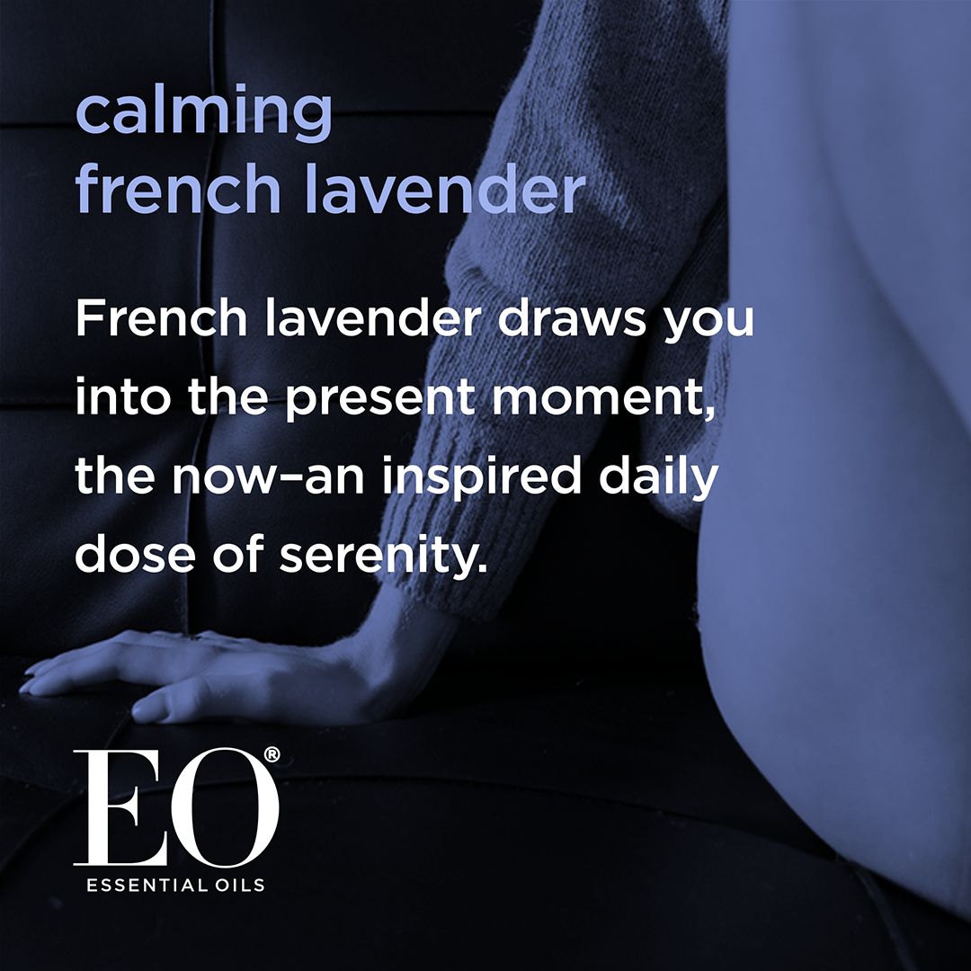French Lavender Natural Deodorant Wipes Case Pack of 12