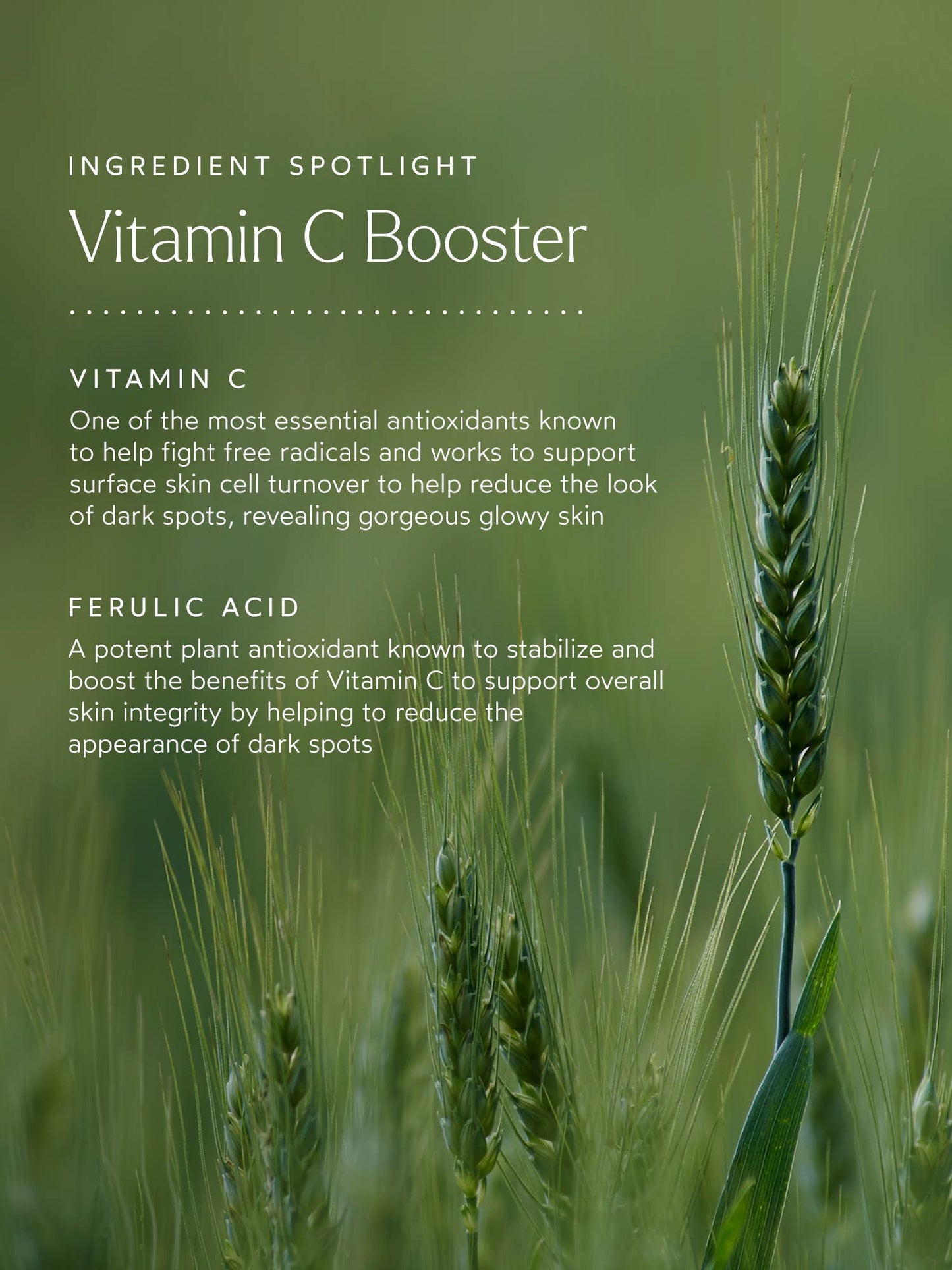Vitamin C Booster