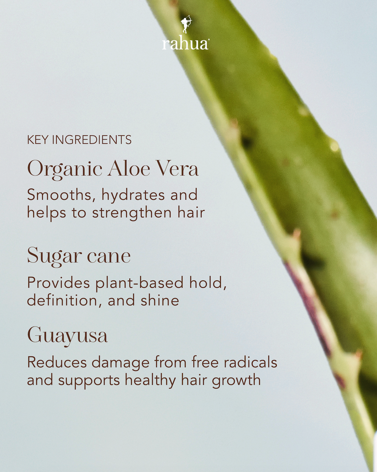 Aloe Vera Hair Mousse
