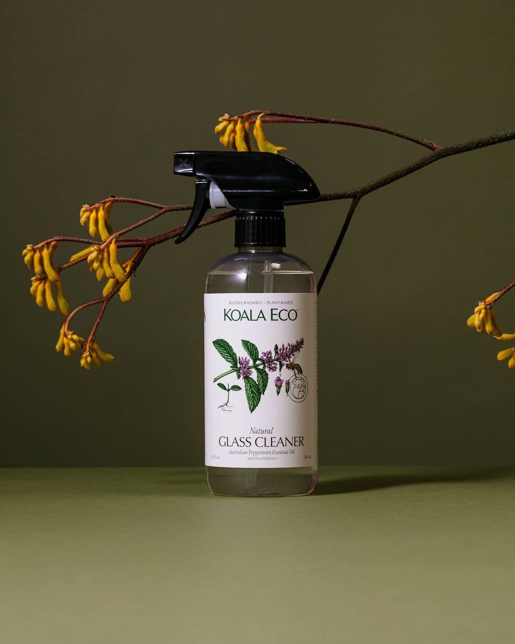 Natural Peppermint Eco Glass Cleaner, 16.9oz