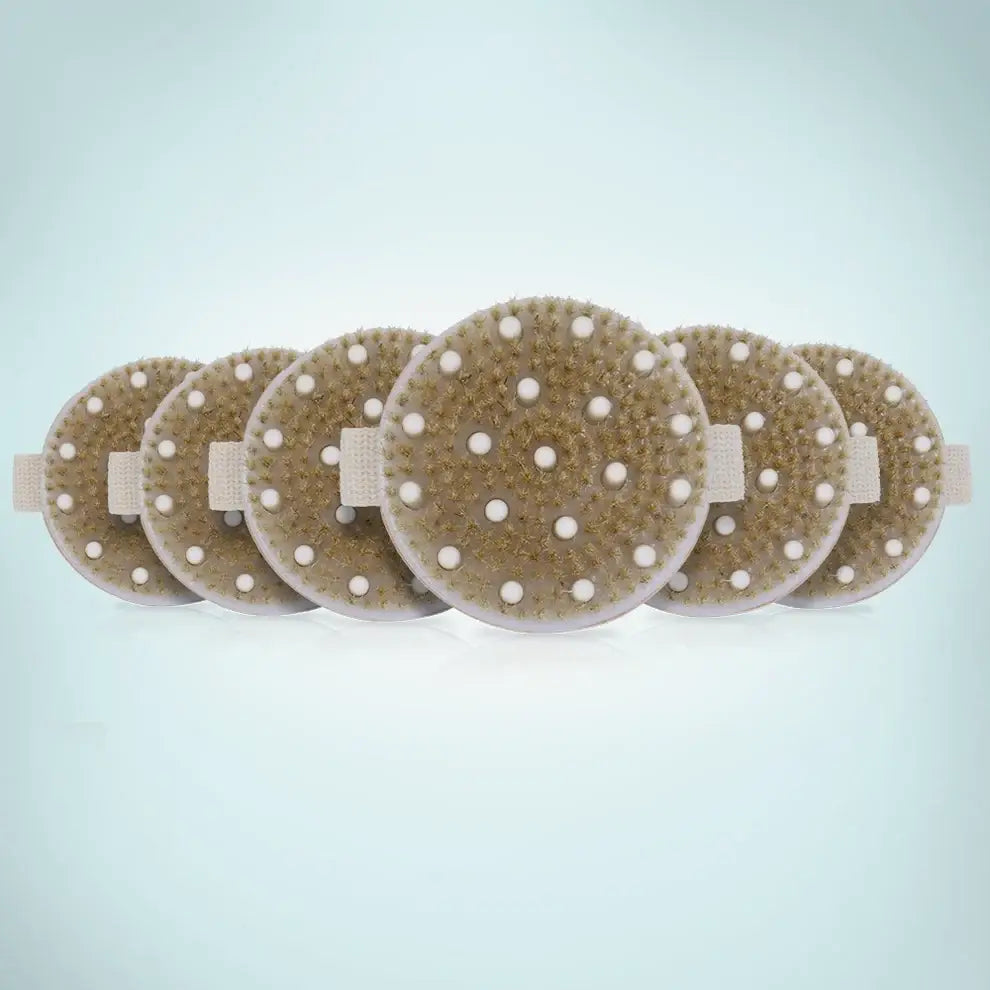 Bamboo Dry Brush  (6 units)