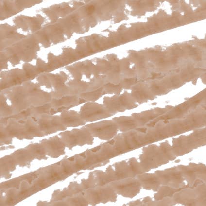 Swift Brow Shape + Fill Brow Pencil- Taupe