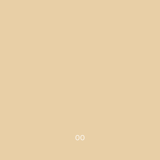 Zero Waste Concealer | 00 Pale