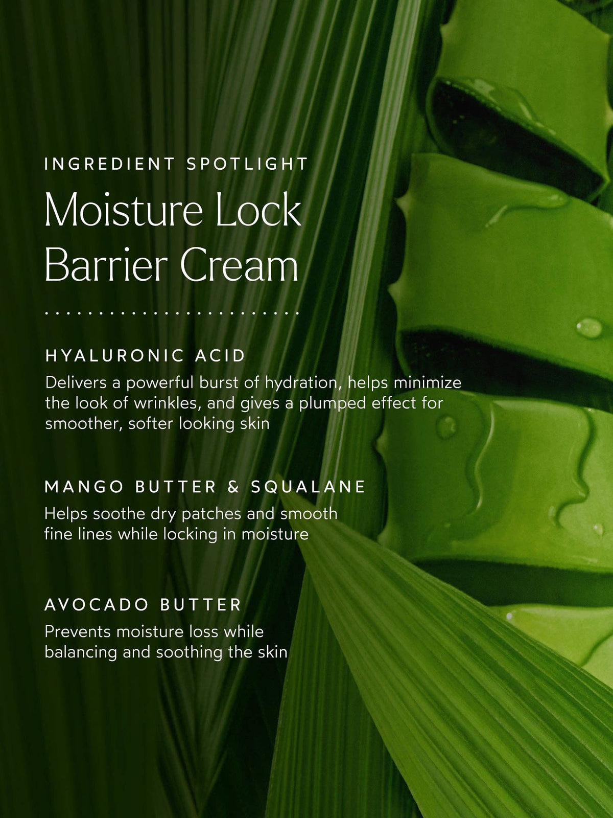 Moisture Lock Barrier Cream