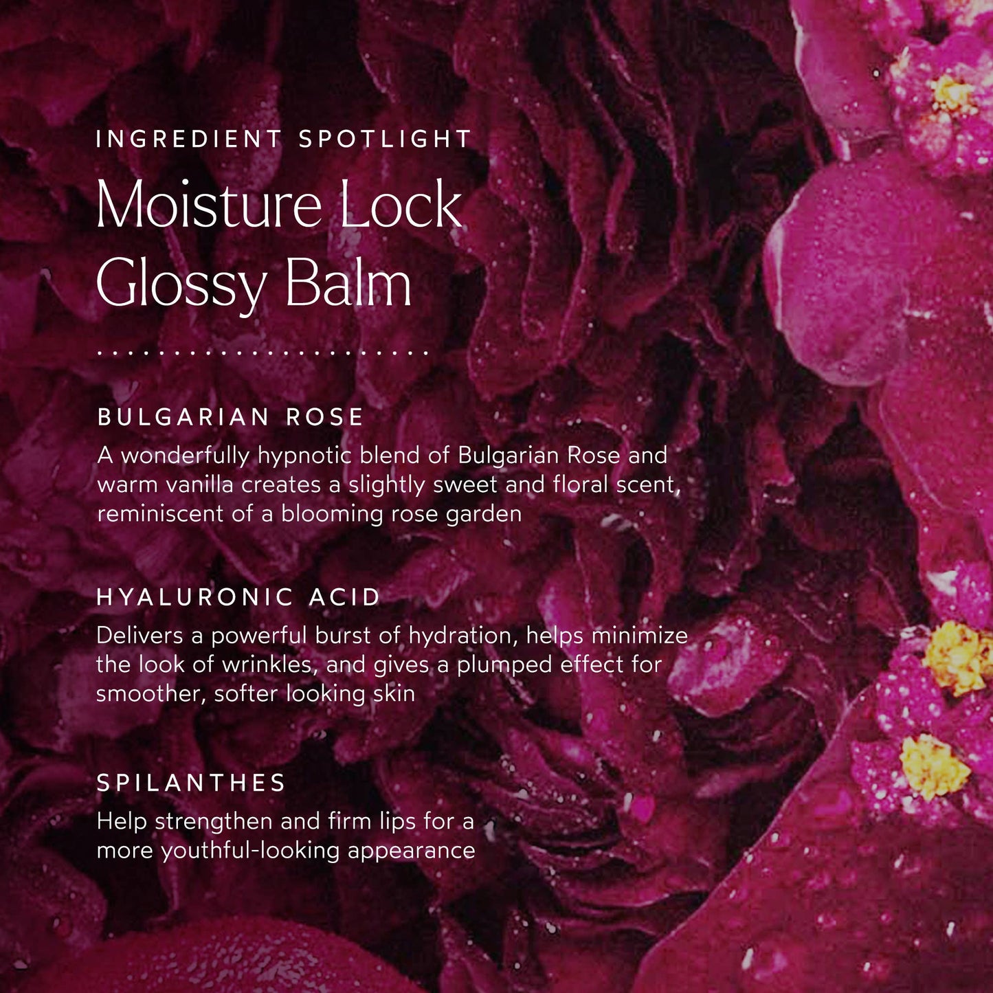 Moisture Lock Glossy Lip Balm