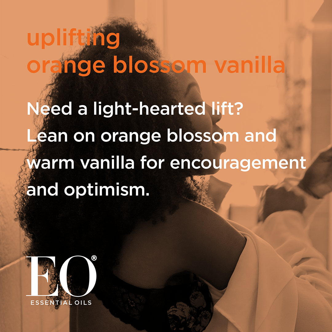 Orange Blossom Vanilla Deodorant Spray Case Pack of 24
