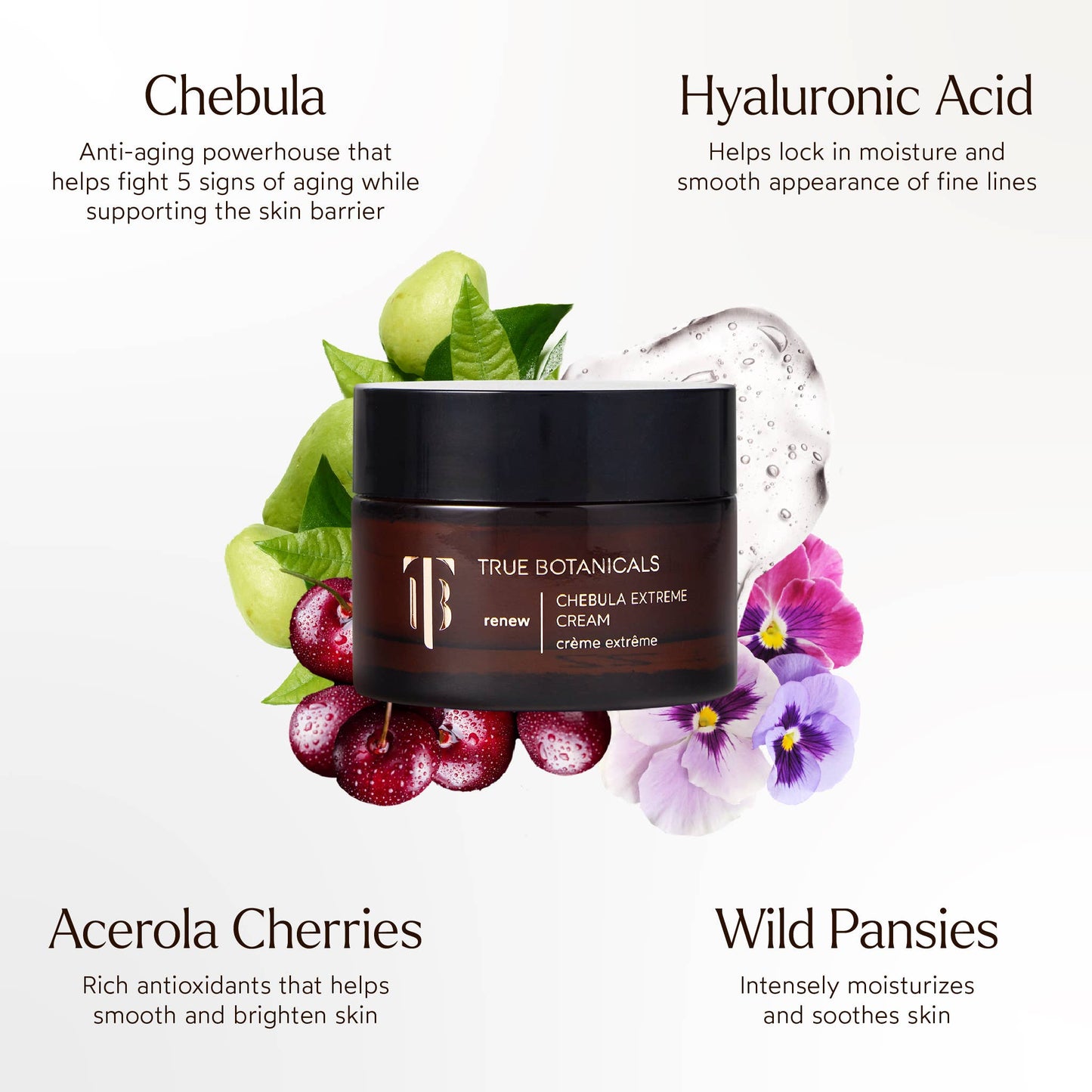 Anti-Aging Chebula Extreme Cream